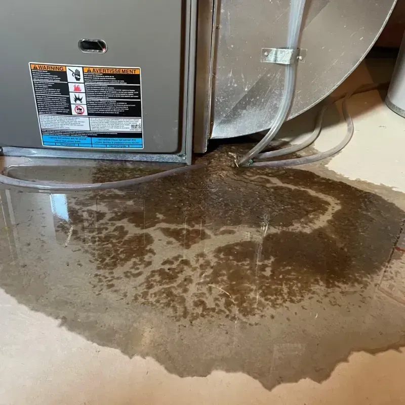 Appliance Leak Cleanup in Valley County, ID